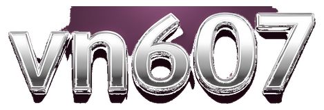 vn607 logo
